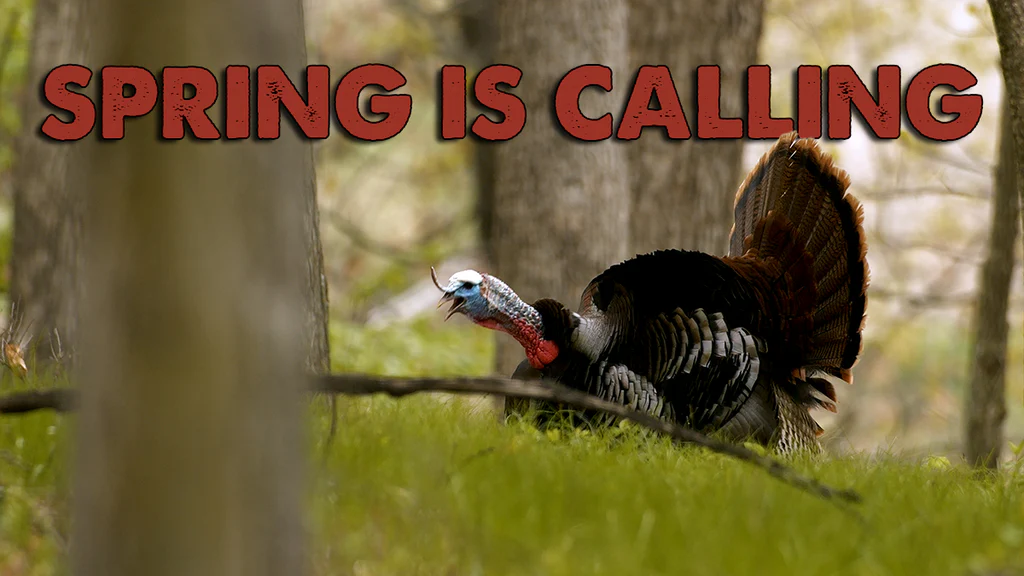 Rugged Elegance for the Modern Woodsman